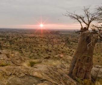 Guided tours to Botswana fully escorted